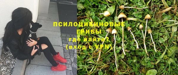 дживик Арсеньев