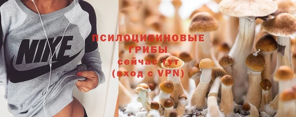 дживик Арсеньев